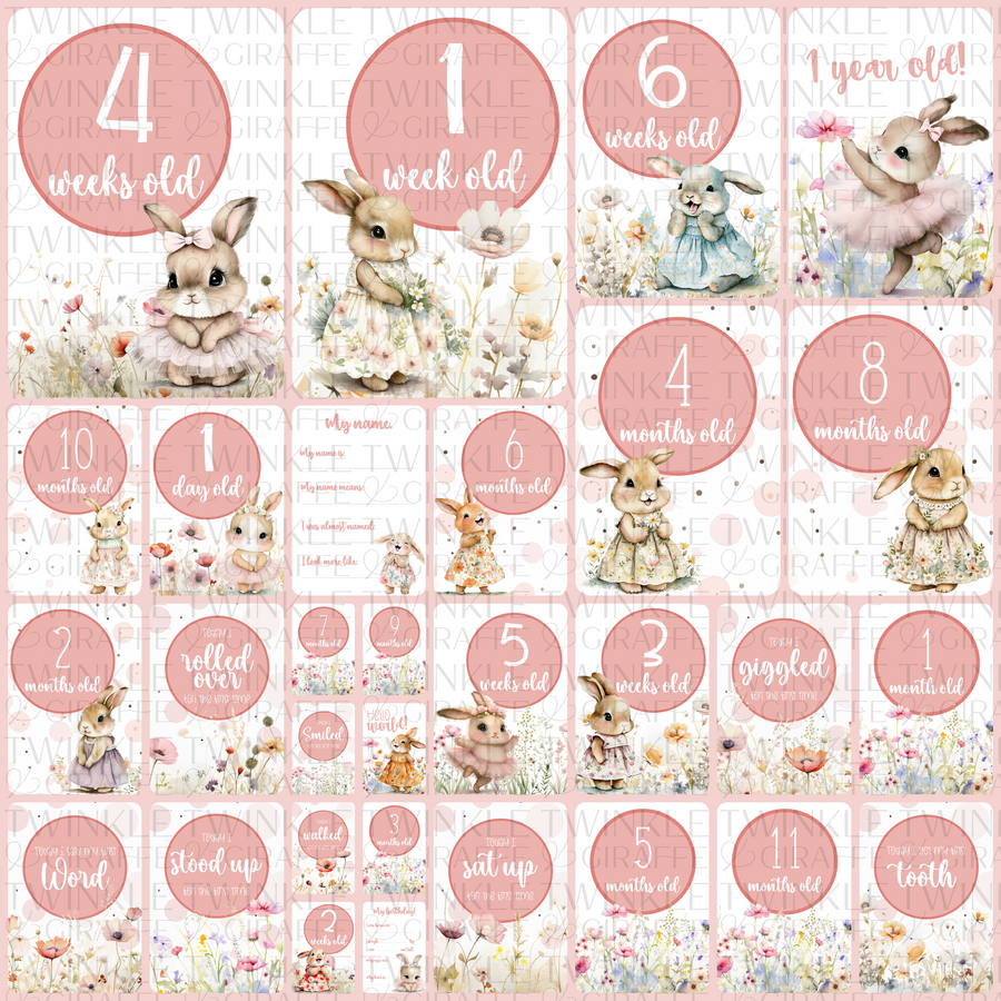 Happy Bunnies Baby Milestone Cards - Set of 30