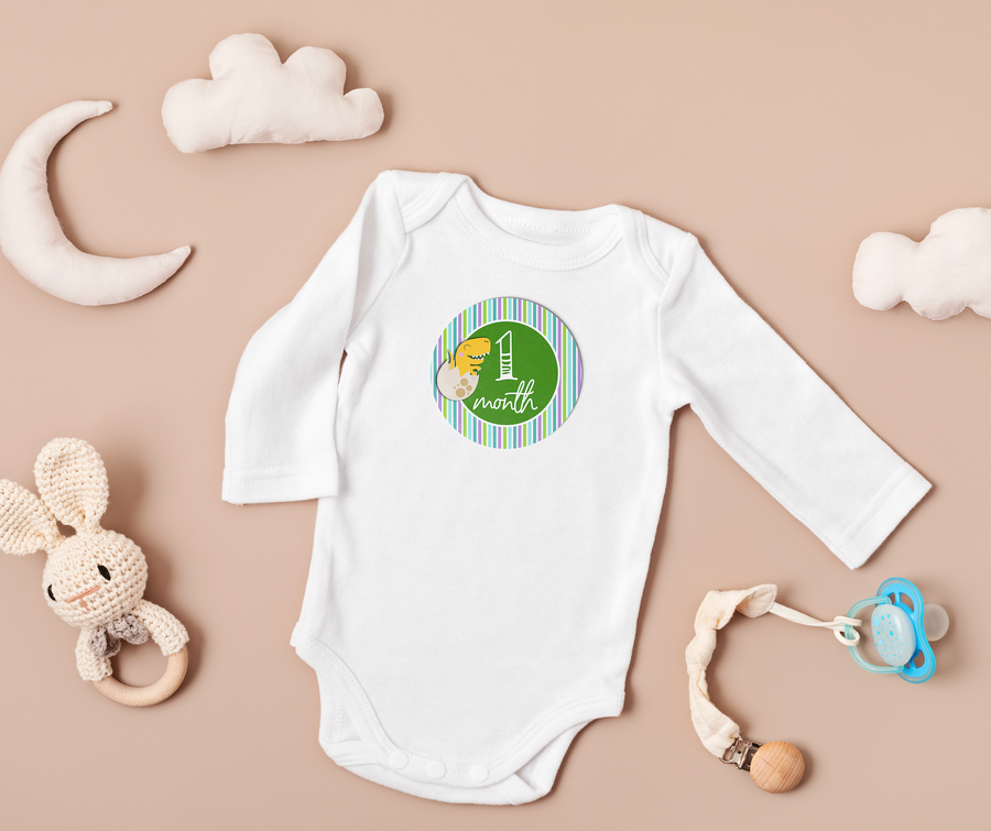 Baby Dino Milestone Stickers