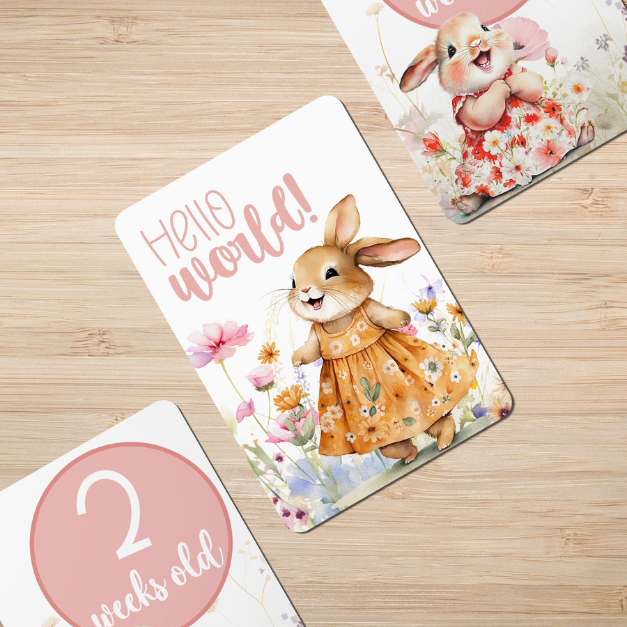 Happy Bunnies Baby Milestone Cards - Set of 30