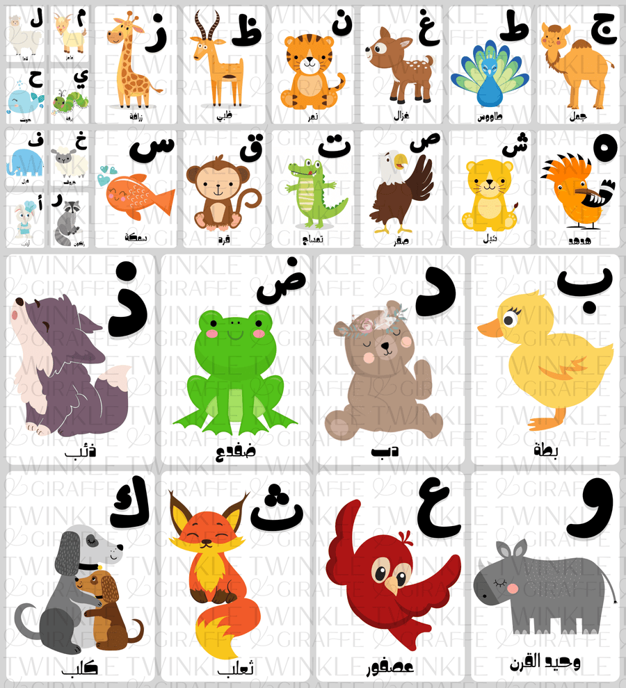 Arabic Alphabet Cards - Twinkle and Giraffe Designs