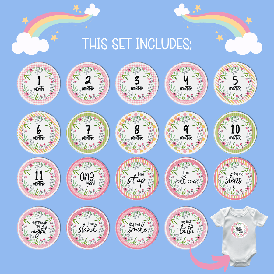 Dainty Pink Milestone Stickers - Twinkle and Giraffe Designs