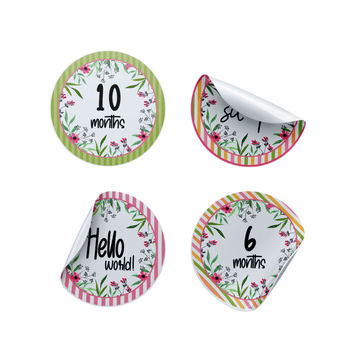 Dainty Pink Milestone Stickers - Twinkle and Giraffe Designs