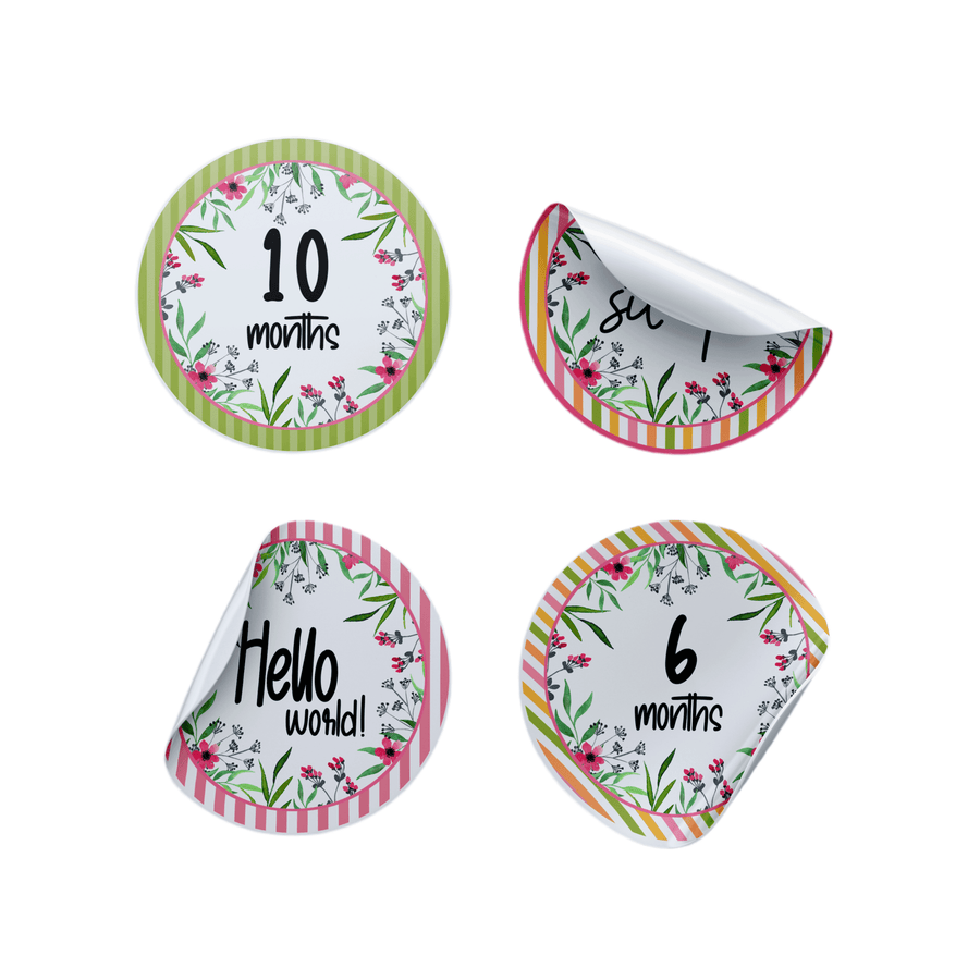 Dainty Pink Milestone Stickers - Twinkle and Giraffe Designs