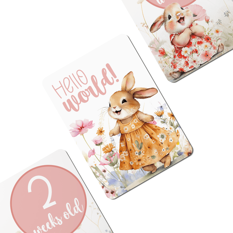 Happy Bunnies Baby Milestone Cards - Set of 30 - Twinkle and Giraffe Designs