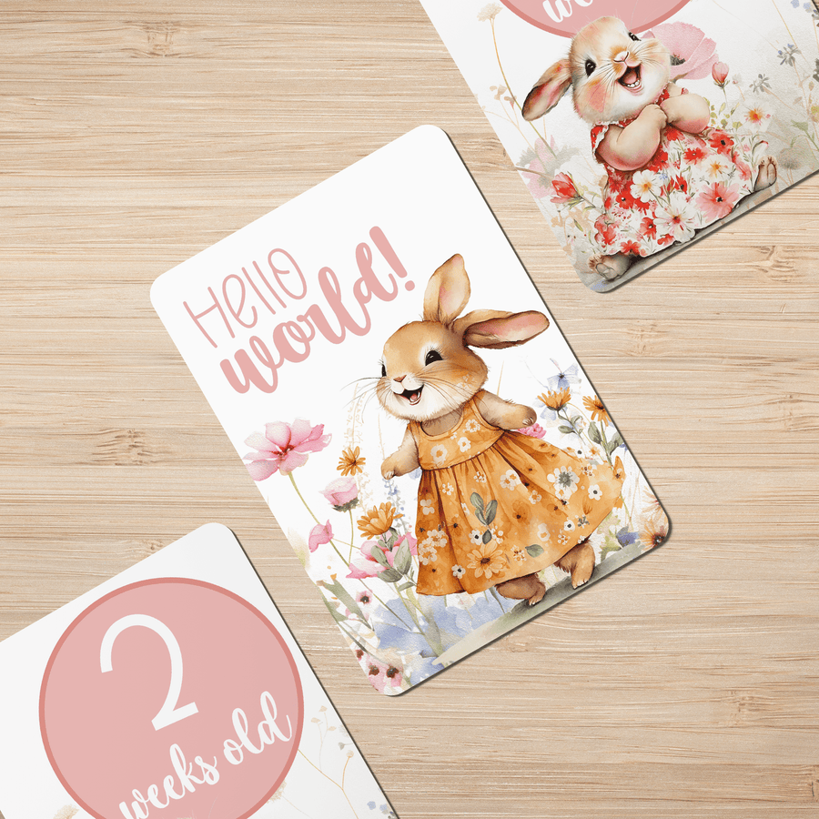 Happy Bunnies Baby Milestone Cards - Set of 30 - Twinkle and Giraffe Designs