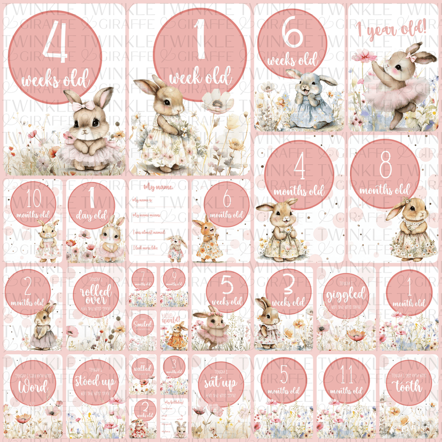 Happy Bunnies Baby Milestone Cards - Set of 30 - Twinkle and Giraffe Designs