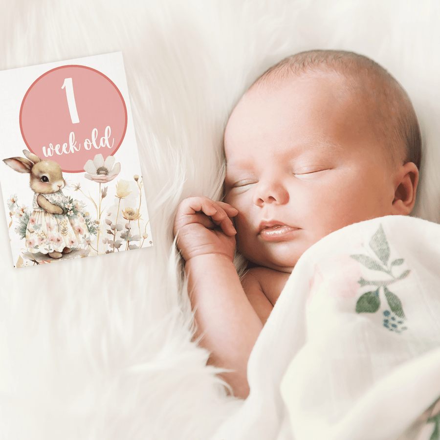 Happy Bunnies Baby Milestone Cards - Set of 30 - Twinkle and Giraffe Designs