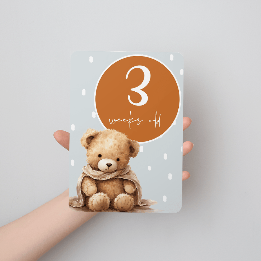 Teddy Bear Baby Milestone Cards - Set of 30 - Twinkle and Giraffe Designs