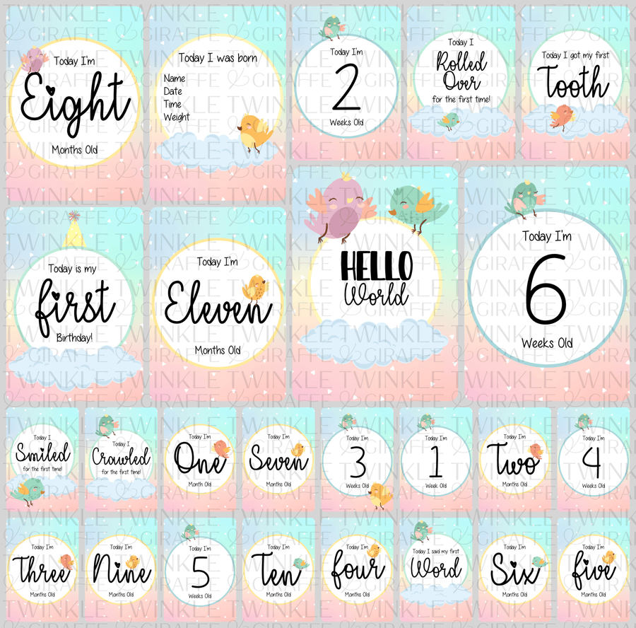 Twinkle Birds Baby Milestone Cards - Set of 25 - Twinkle and Giraffe Designs