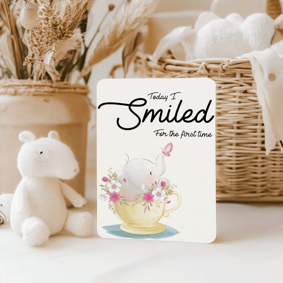 Twinkle Elephant Baby Milestone Cards - Set of 25 - Twinkle and Giraffe Designs