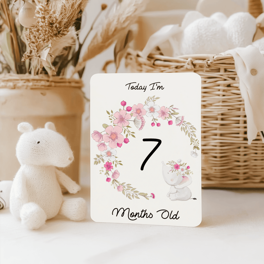 Twinkle Elephant Baby Milestone Cards - Set of 25 - Twinkle and Giraffe Designs