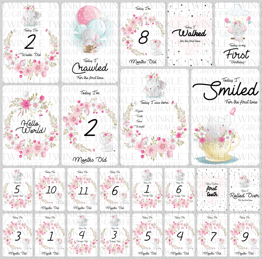Twinkle Elephant Baby Milestone Cards - Set of 25 - Twinkle and Giraffe Designs