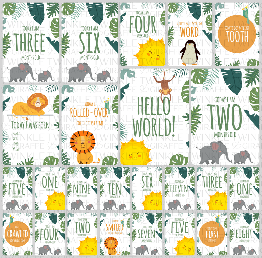 Twinkle Safari Baby Milestone Cards - Set of 25 - Twinkle and Giraffe Designs