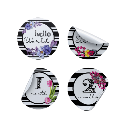 B&W Stripes and Flowers Milestone Stickers - Twinkle and Giraffe Designs