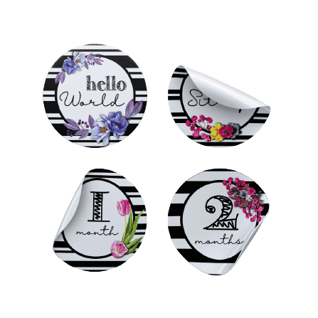 B&W Stripes and Flowers Milestone Stickers - Twinkle and Giraffe Designs