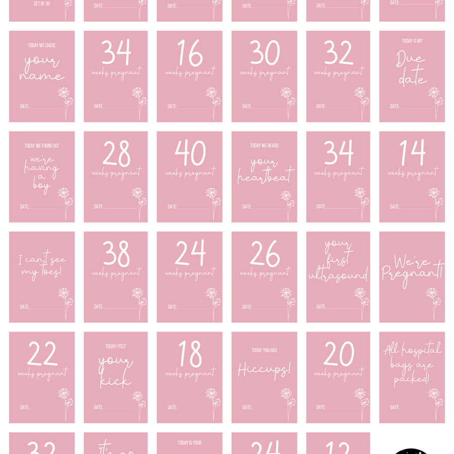 Dandelion in Pink Pregnancy Milestone Cards - Set of 30 - Twinkle and Giraffe Designs