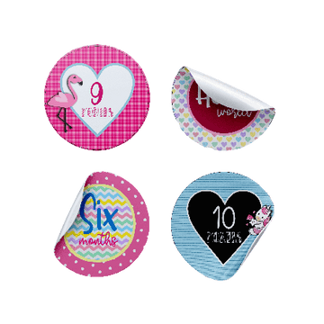 Pretty in Pink Milestone Stickers - Twinkle and Giraffe Designs