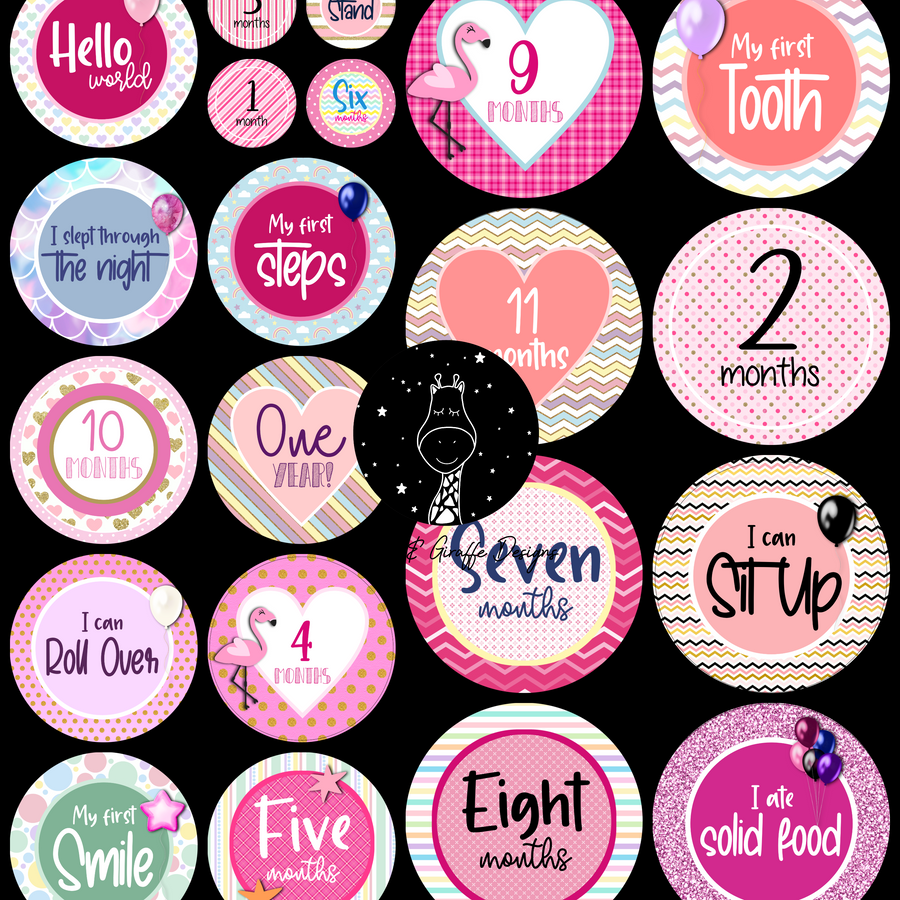 Pretty in Pink Milestone Stickers - Twinkle and Giraffe Designs