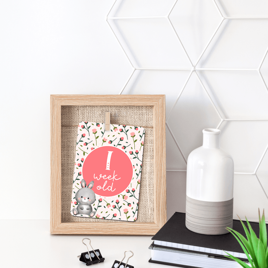 Spring Bunny Flowers Baby Milestone Cards - Set of 25 - Twinkle and Giraffe Designs