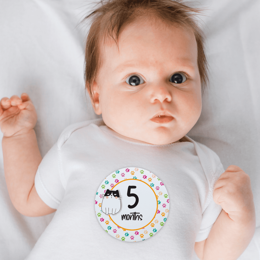 Twinkle Cats Milestone Stickers - Twinkle and Giraffe Designs