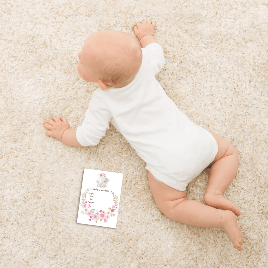 Twinkle Elephant Baby Milestone Cards - Set of 25 - Twinkle and Giraffe Designs