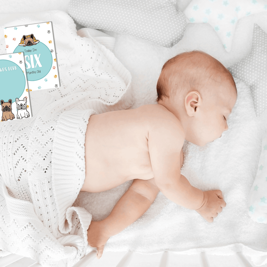 Twinkle Paws Baby Milestone Cards - Set of 25 - Twinkle and Giraffe Designs