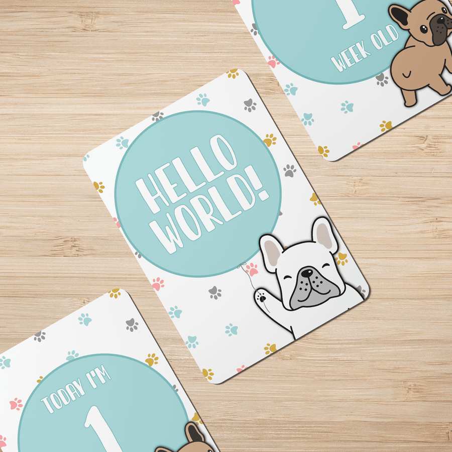 Twinkle Paws Baby Milestone Cards - Set of 25 - Twinkle and Giraffe Designs