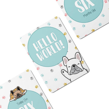Twinkle Paws Baby Milestone Cards - Set of 25 - Twinkle and Giraffe Designs
